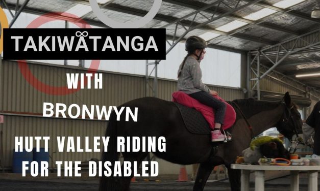 Hutt Valley Riding for The Disabled